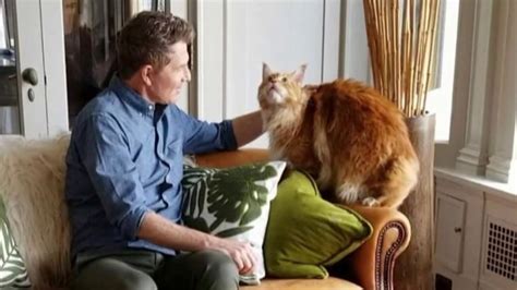 how did bobby flays cat die|bobby flay cat today.